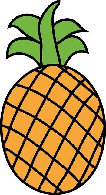 Load image into Gallery viewer, PINEAPPLE
