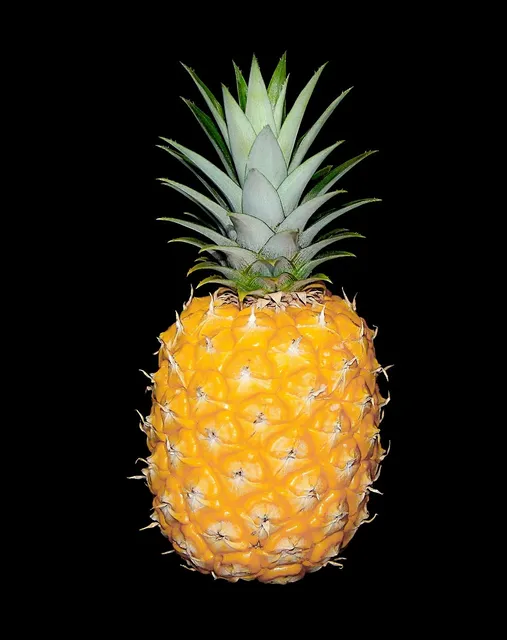 Load image into Gallery viewer, PINEAPPLE
